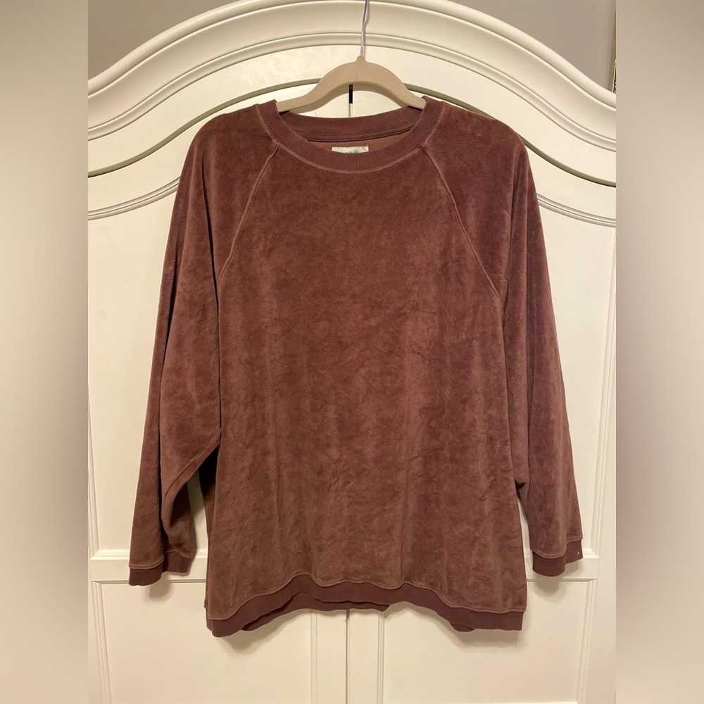 Brown AERIE long sleeve